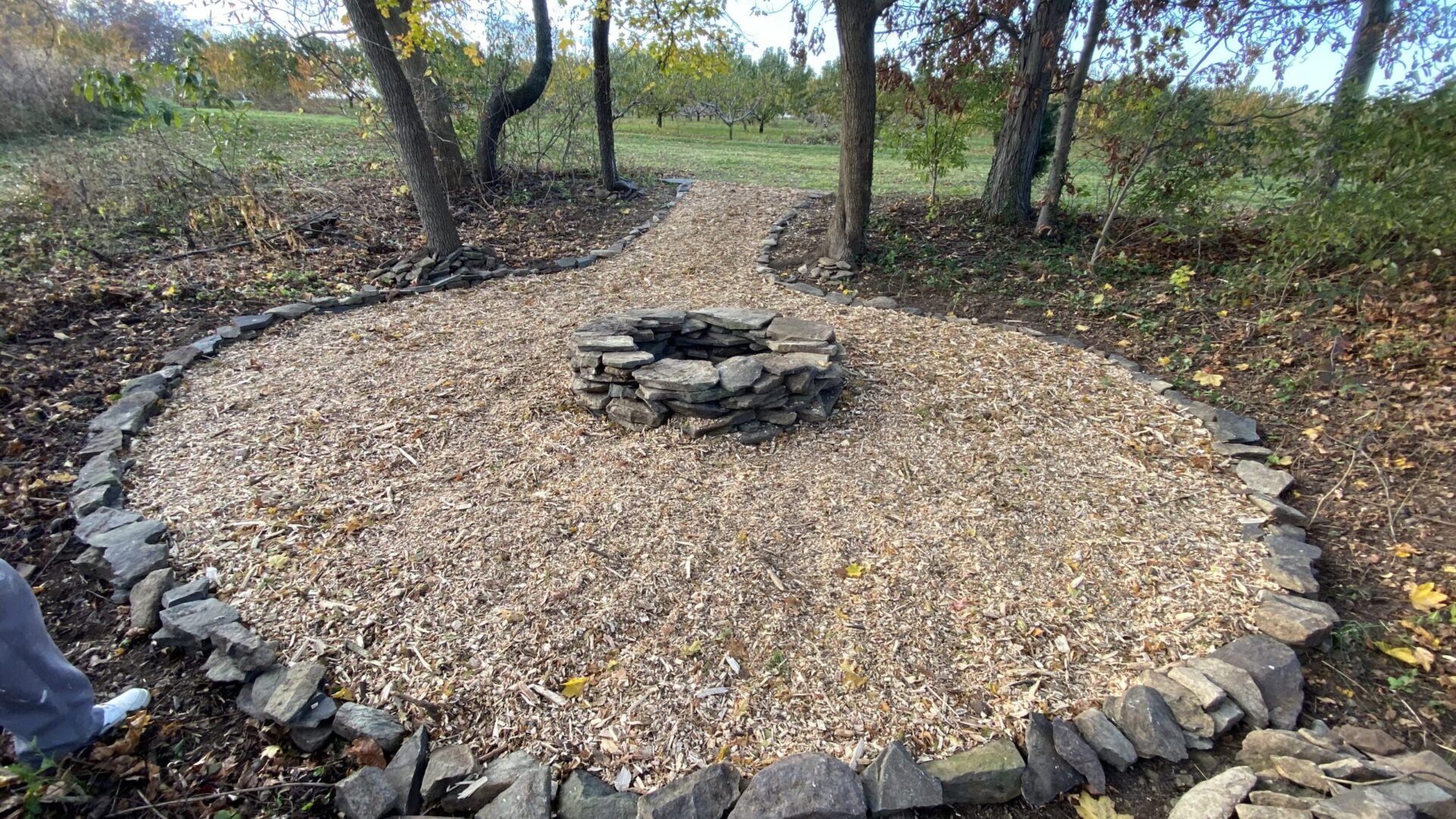 Garden Cleanup, trimming, planting, mulching, old shrub removal. Plant flowers. Firepit stonework