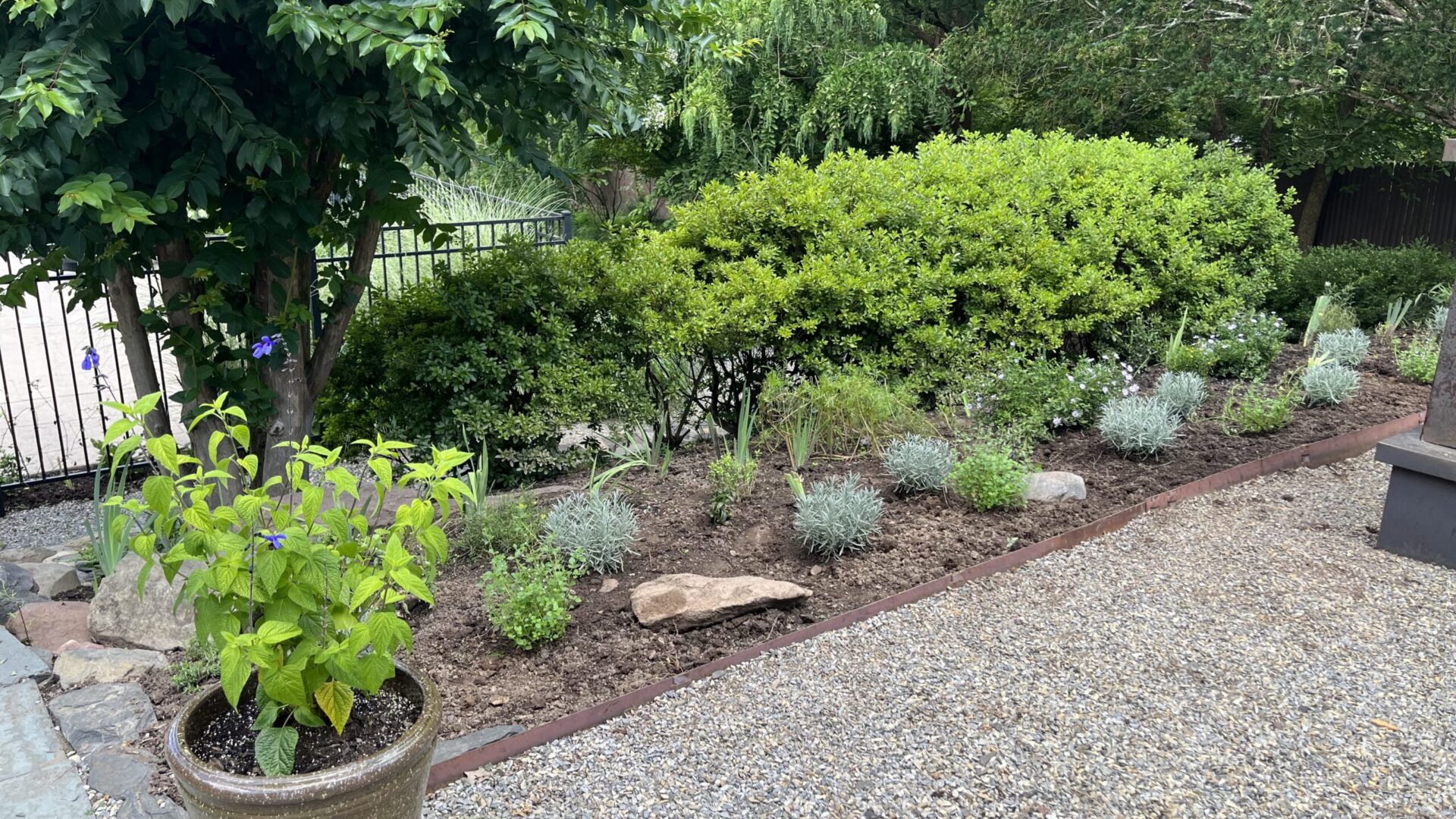 Garden Cleanup with new plants, flowers, and stone